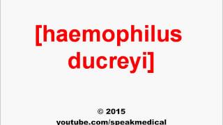 Pronounce Haemophilus ducreyi  SpeakMedical [upl. by Marcile]