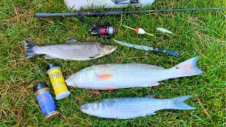 Brown TROUT Redfish and Mullet Catch Smoke and Eat [upl. by Winshell442]