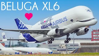 The 6th and Final AIRBUS BELUGA XL6  First Flight  Toulouse Airbus Factory [upl. by Floeter]