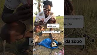 Rogo da zobo muke ci a location gurin daukar video [upl. by Etteiram]