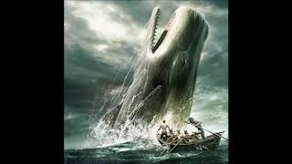 Moby Dick by Herman Melville 13 audiobook [upl. by Mackey]