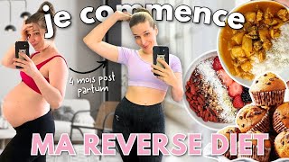 Jaugmente les calories pour me transformer reverse diet [upl. by Nulubez]