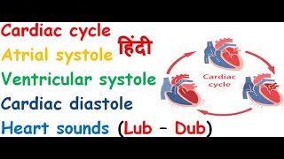 cardiac cycle in hindi  atrial systole  ventricular systole  complete diastole [upl. by Iblok]