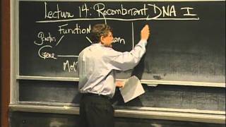 Overview of Recombinant DNA excerpt 1  MIT 701SC Fundamentals of Biology [upl. by Nrev323]