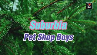 Pet Shop Boys  Suburbia Karaoke New Wave HD [upl. by Nelloc669]