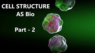 Cell Structure  AS Biology Paper 2 Revision  Cambridge AS Level  Part 3 [upl. by Geirk]