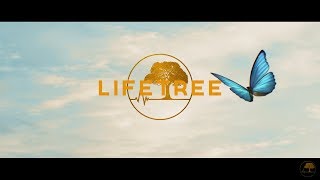 LifeTree  Chrysalis Official Lyric Video [upl. by Amand]