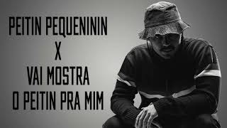 DJ TOPO  PEITIN PEQUENININ X VAI MOSTRA O PEITIN PRA MIM MASHUP [upl. by Dedric]