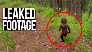 Most Disturbing Trail Cam Captures Ever Recorded [upl. by Miculek359]