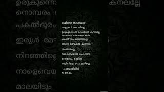 thammilo kanaathe ormakal verodumlyrics malayalam song drlove shorts [upl. by Thorne]