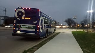 Pace Bus 2015 ElDorado National Axess BRT 6440 On Rt 223 Elk Grove  Rosemont CTA Station [upl. by Lonergan]