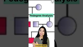 Pedigree analysis tricks  Pedigree analysis questions  Principles of inheritance and variation [upl. by Brenk]