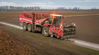 GRIMME REXOR 6300 Platinum  Zuckerrübenernte 2021  agrarfreakHD [upl. by Ardell834]