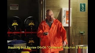 Breaking Bad Review 04x06 quotCorneredquot Reaction amp Recap [upl. by Anatol693]