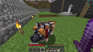 Dog Whimpering sound what does it mean   Minecraft 121 [upl. by Farro]