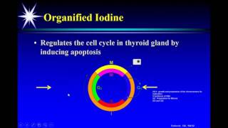 P2P Webinar Iodine amp Autoimmune Thyroid Disorders [upl. by Pellegrini228]