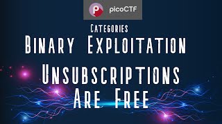 PicoCTF UnSubscriptions are free binary exploitation [upl. by Odarnoc]