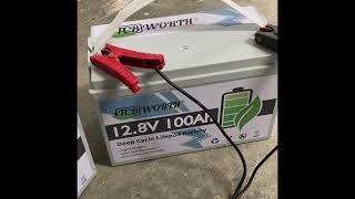 TCBWORTH 100ah LFP Battery Review [upl. by Arun]