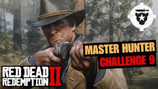 Master Hunter Challenge 9 Easiest Way  Red Dead Redemption 2 [upl. by Akilaz]