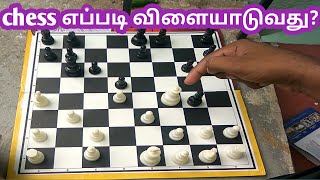 how to play chess for beginners in tamil  how to play chess in tamil  play chess in tamil  YTV [upl. by Rodolph]