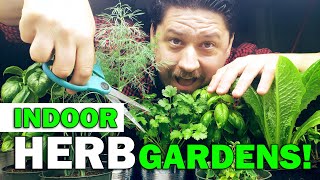 Indoor Herb Gardens  The Definitive Guide For Beginners [upl. by Alyag899]