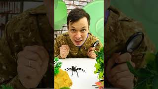 Игрушки 🕷️ПАУКИ🕷️сбежали из зоопарка 🐞Леди Баг их не боится Игры для детей в куклы ЛедиБаг [upl. by Myrilla]