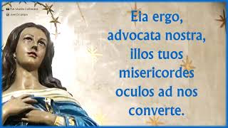 Salve Regina Hail Holy Queen with Lyrics [upl. by Longerich]