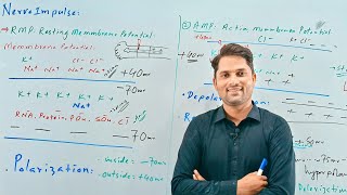 Nerve Impulse Nerve conductionNervous coordination STB NCERT FTB PTBHindi UrduProSuresh Kumar [upl. by Leviralc]