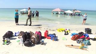 Beached Whales Off Redington Beach Successfully Rescued [upl. by Oiciruam]