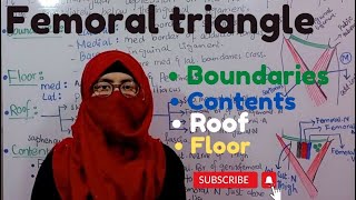 Femoral triangle  boundaries floor  roof  contents  lower limb anatomy Ayesha Medical Education [upl. by Collbaith285]