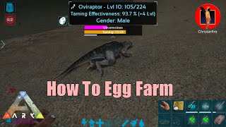 Taming Oviraptor for egg farmingArk Mobile [upl. by Lednahc]