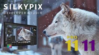 quotSILKYPIX Developer Studio Pro11quot promotion movie [upl. by Akimal572]