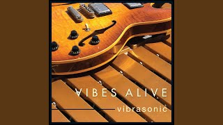 Vibrasonic [upl. by Sainana]