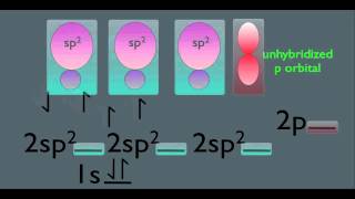 Sp2 Hybridization Organic Chemistry [upl. by Dasya142]