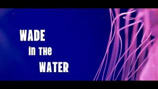 Wade in the Water  Cigar Box Scott  Official Music Video [upl. by Jane712]