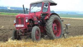 Traktoren in LimbachOberfrohna  34  Massey Ferguson and Famulus Tractor plowing  Feldtag [upl. by Jahn309]