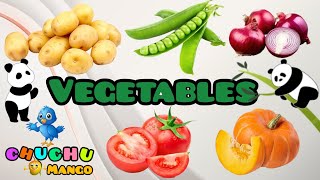 VEGETABLES NAMES  Spelling [upl. by Surat]