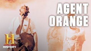 What Is Agent Orange  History [upl. by Touber]