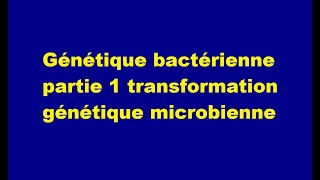 Génétique bactérienne partie 1 transformation génétique microbienne [upl. by Lacram157]