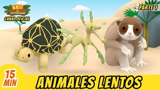 Animales Lentos Episodio Compilación Parte 12  Leo El Explorador Episodio  Animación [upl. by Corneille]