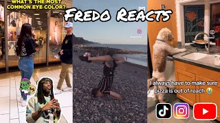 If you laugh you lose super hard  Fredo on TV [upl. by Odlanir]