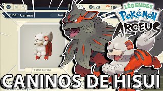 Capturer un CANINOS amp un ARCANIN DE HISUI  LÉGENDES POKÉMON ARCEUS [upl. by Annaeed]