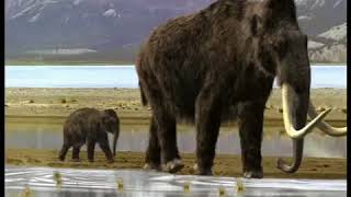 Walking with Beasts Se1  Ep06 Mammoth Journey  Part 11 [upl. by Jarvis356]