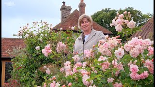 Gardening at home with Sarah  The Rose Garden in June [upl. by Noruq]