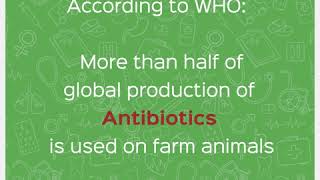 Antibiotic Awareness  Credihealth Health Facts 5 [upl. by Alisan164]