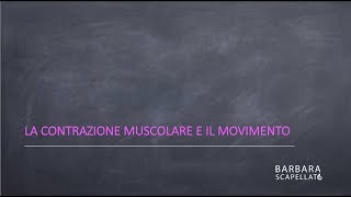 La contrazione muscolare [upl. by Winou]