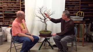 Development of Persian Parrotia with Arthur Joura  Part2 [upl. by Nike663]