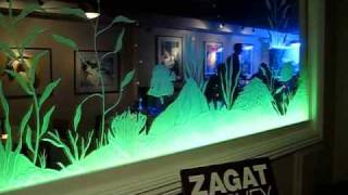 Etched Glass w LED Light System [upl. by Byrann173]