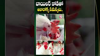 బ్రయిలర్ కోడితో అనారోగ్య సమస్యలు  Latest Updates  Health problems with chicken  SumanTV Prakasam [upl. by Nya]