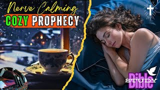 Cozy Ambience ASMR The Book of Revelation NIV  Relax To Unfolding of End Times Events 📖Chapter 5 [upl. by Jacinthe]